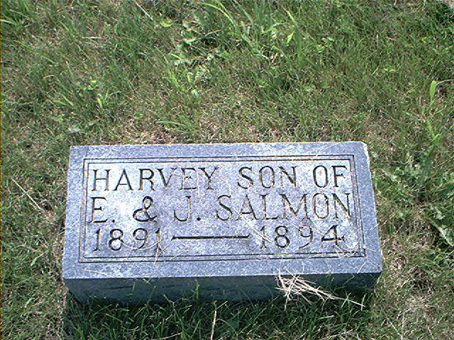 [Harvey Salmon]