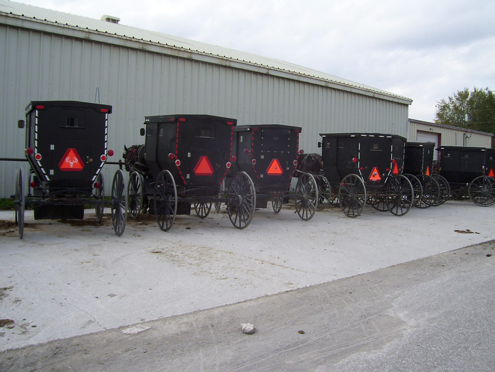 [Amish buggies]